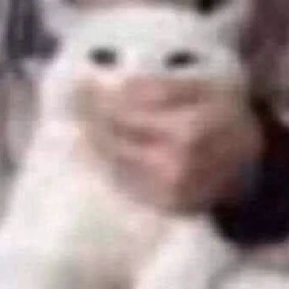 Meet your Posher, Rory